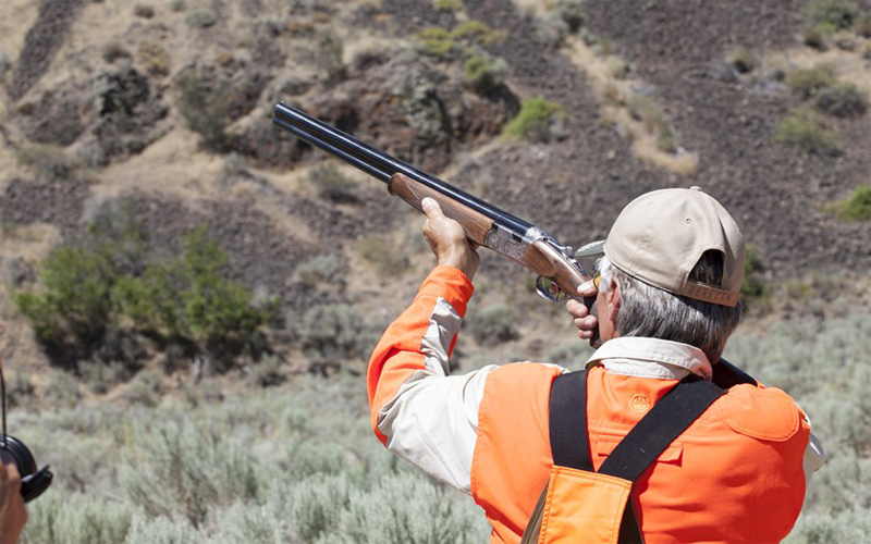 Beretta 686 Silver Pigeon Shotgun - Image 4