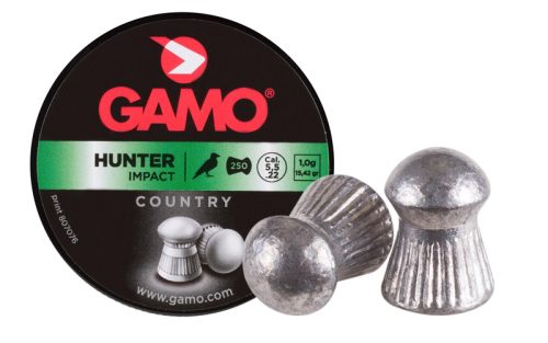 Gamo Hunter .22  Bullets
