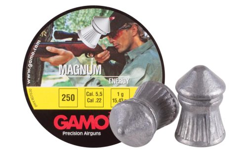 Gamo Magnum .22 Bullets