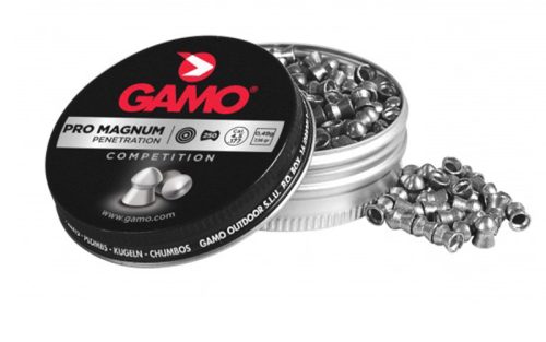 Gamo Pro Magum in .22 Bullets