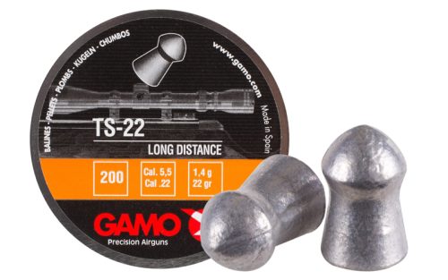 Gamo Ts-22 in .22 Bullets