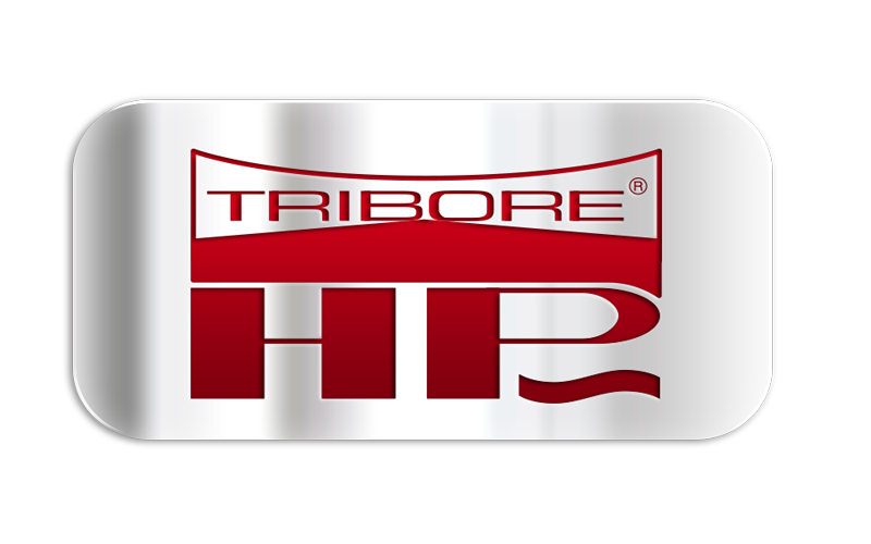 FABARM SDASS 2 CHASSE COMPOSITE SHOTGUNS - Image 4